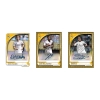 2025/26 Topps Collector Tin Real Madryt